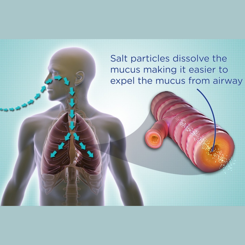 Salin Plus Salt Therapy Air Purifier Device